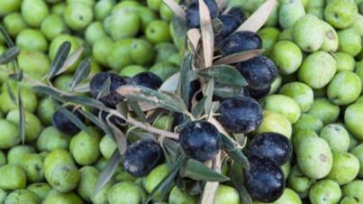 olives